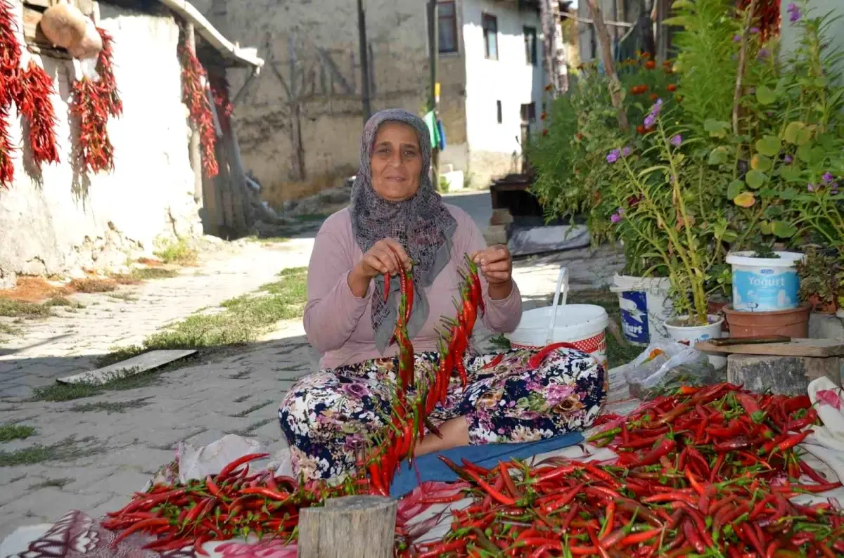 cukurorenin kirmizi altini 160 yillik biber uretimi q6rUbSvn