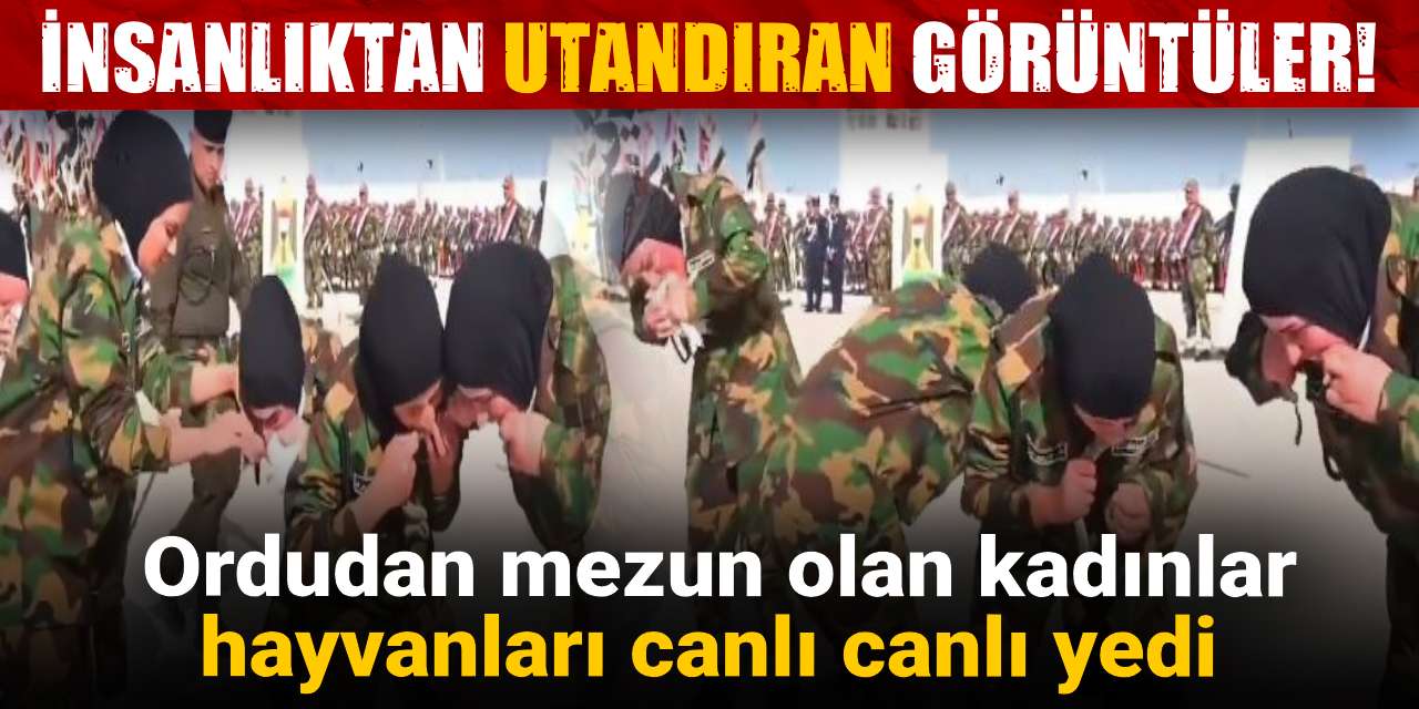 insanliktan utandiran goruntuler ordudan mezun olan kadinlar hayvanlari canli canli yedi qqsxtLI8