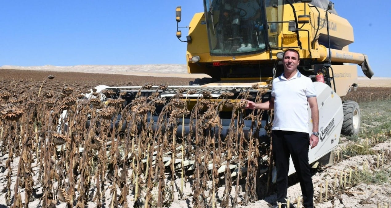 kilo kilo toplaniyor belediyeye gelir kapisi oluyor yilin en verimli hasadi basladi gZuqYrlQ