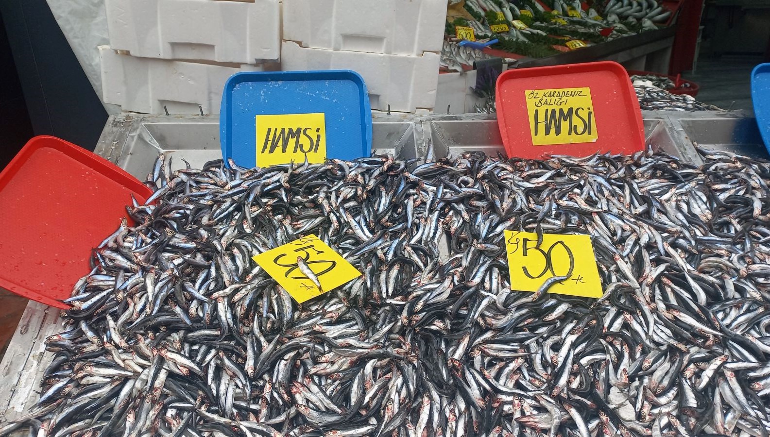 hamsinin kilosu 50 liraya kadar dustu Sd1NUmsw.jpg