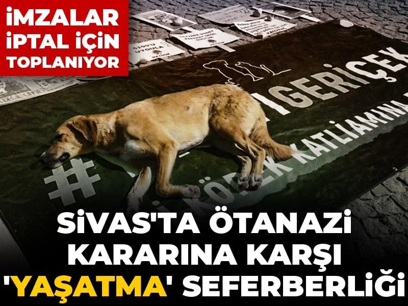 sivasta-otanazi-kararina-karsi-yasatma-seferberligi-imzalar-iptal-icin-toplaniyor-Zej3A2Ff