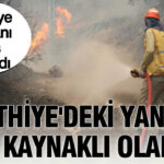 Haber gorseli