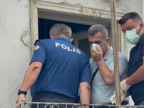 Haber gorseli