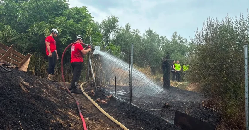 Mudanya goynukludeki yangin ormanlik alana sicramadan kontrol altina alindi VU1fLUQW